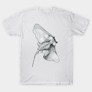 Stingray Stippled Illustration T-Shirt